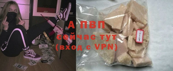 мдпв Осташков