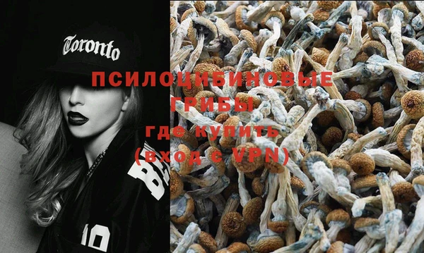 тгк Абаза