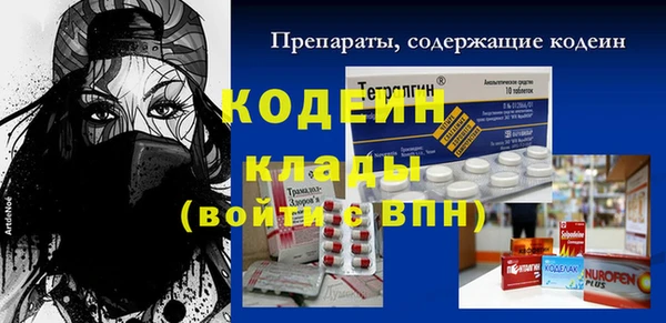 мдпв Осташков