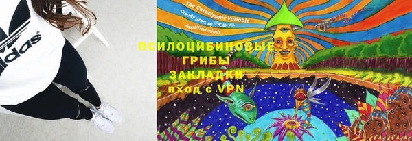кокс Абдулино