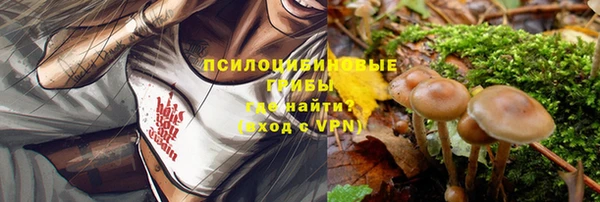 spice Осинники