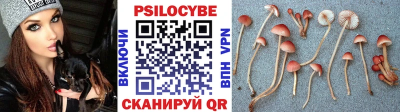 Галлюциногенные грибы прущие грибы  ОМГ ОМГ ССЫЛКА  Уржум 